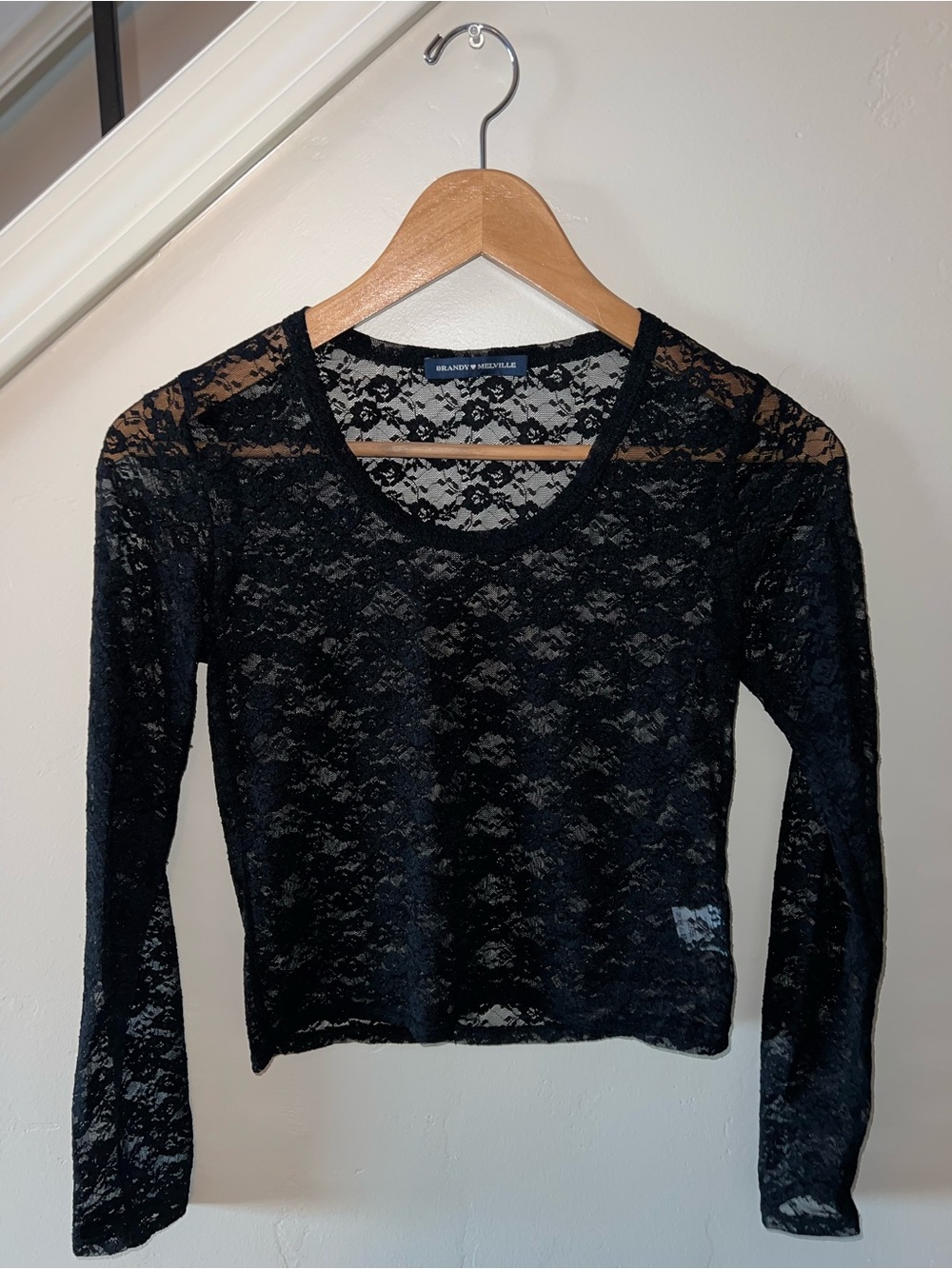 Brandy Melville Black Sheer Floral Lace Long Sleeve Top